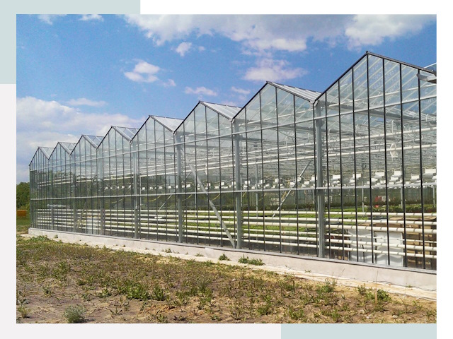 Строительство теплиц в Саянск от 610 руб. за м²