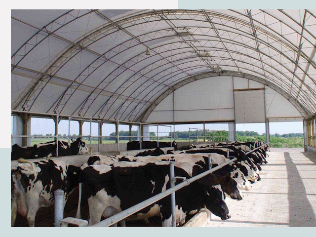 Тентовые коровники в Саянске